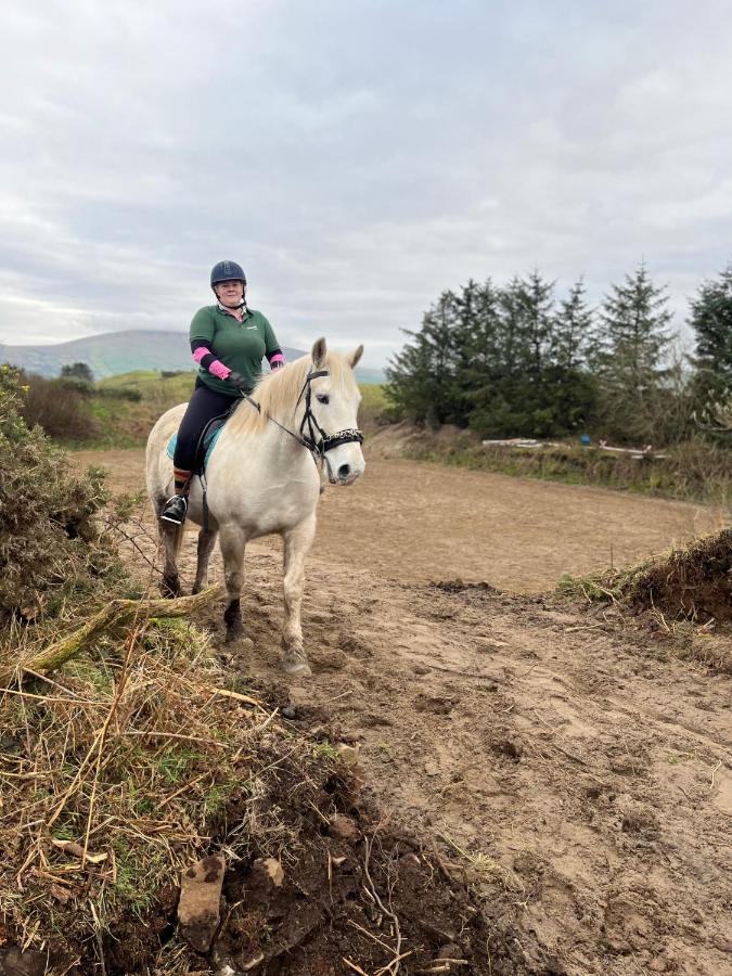 Causeway Coast Country Cottage, Pet-Friendly バリーキャッスル エクステリア 写真