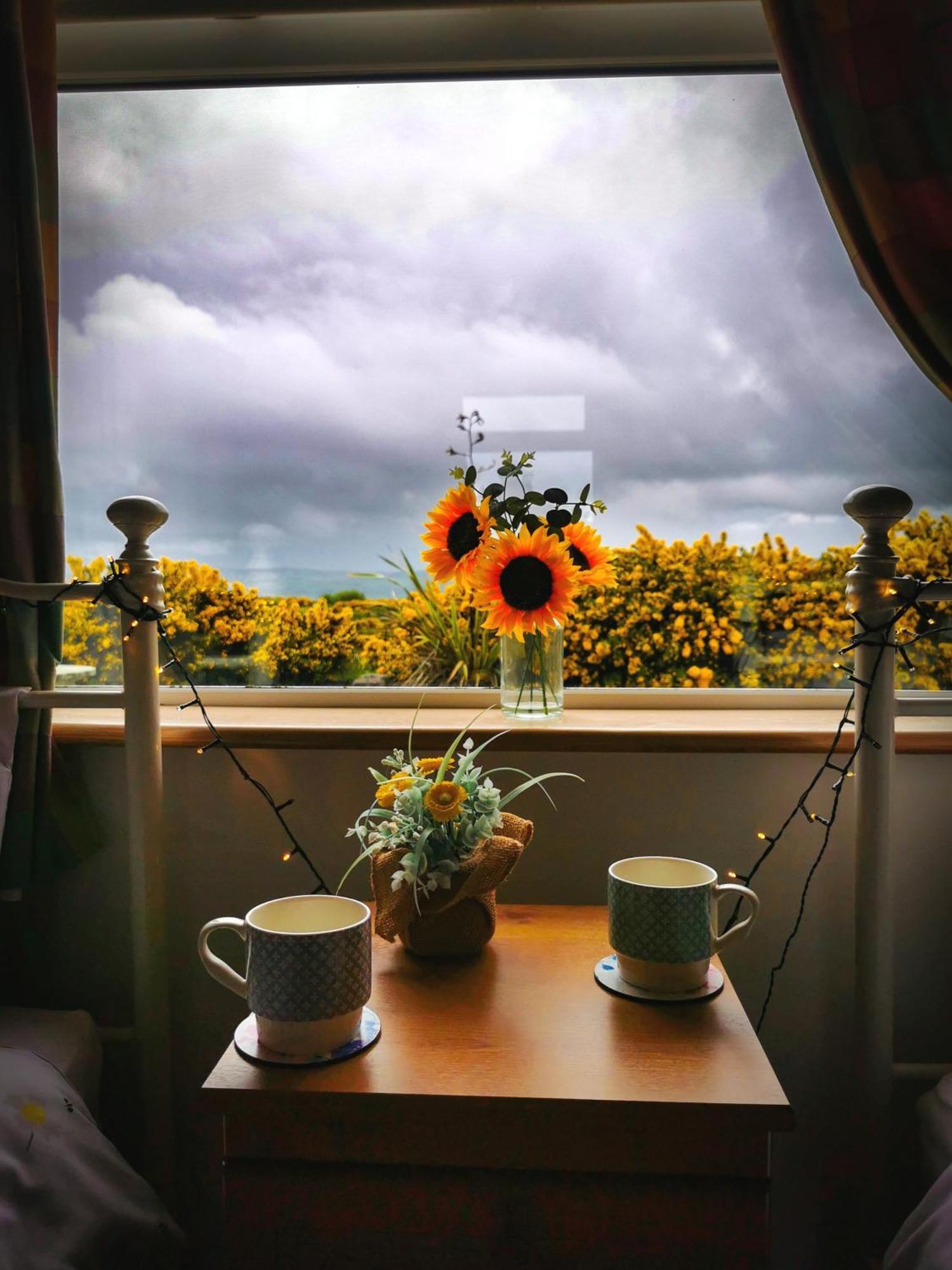 Causeway Coast Country Cottage, Pet-Friendly バリーキャッスル エクステリア 写真
