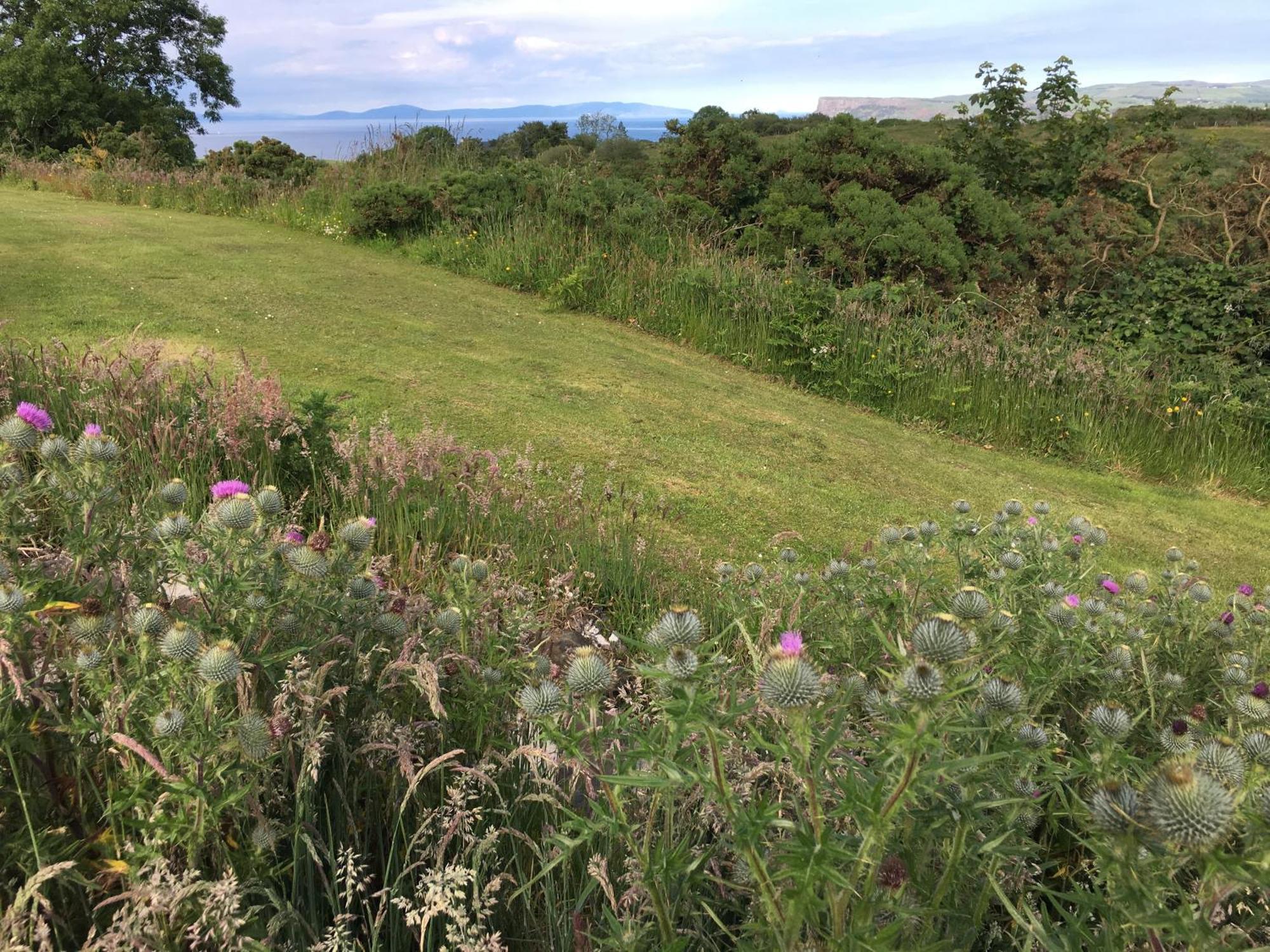 Causeway Coast Country Cottage, Pet-Friendly バリーキャッスル エクステリア 写真